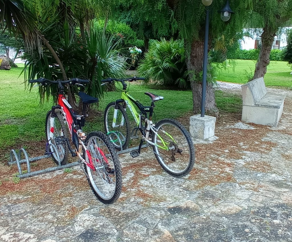 Bici Noleggio